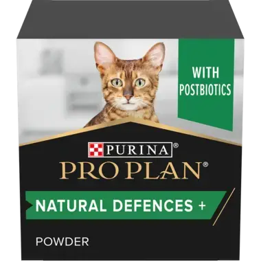 Best multivitamin for cats best sale